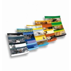 CUADERNO T.F AMERICA 24 HJ RAYADO